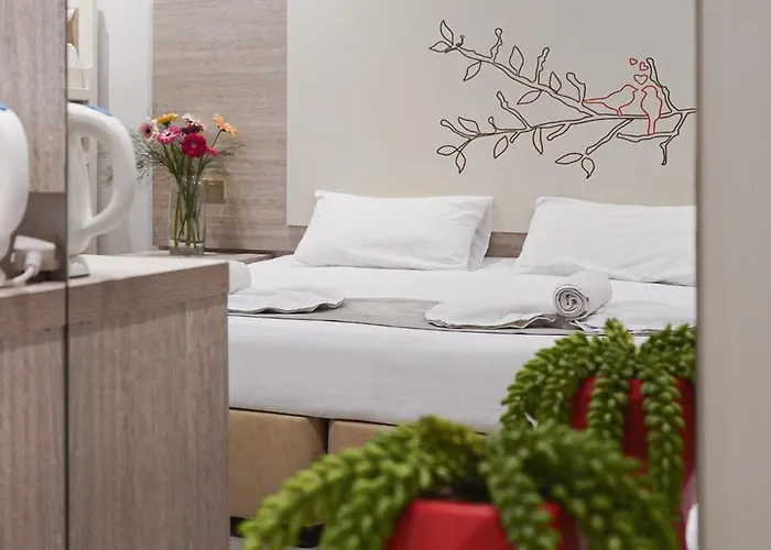 Nicholas Color 4* Aya Napa